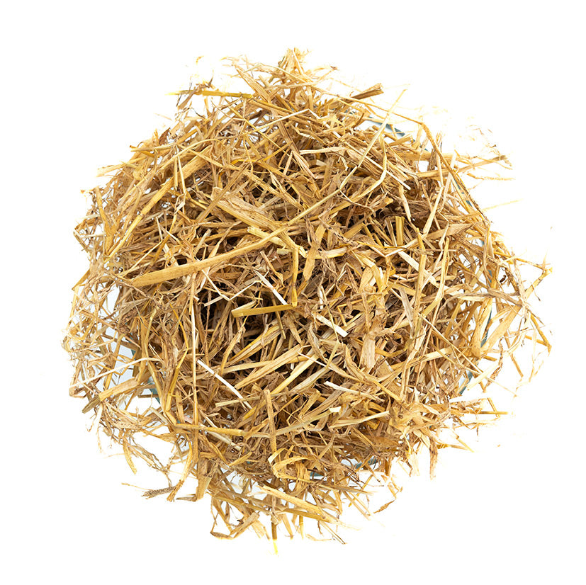 Golden Barley Straw