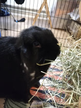 Meadow Hay Box