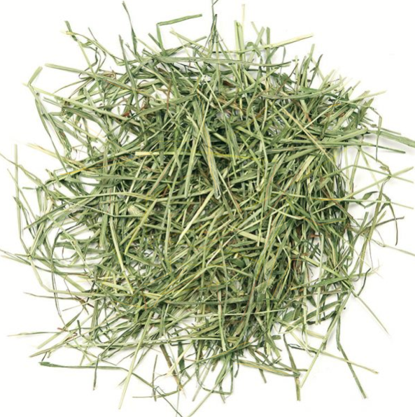 Hay Box | Hay for Rabbits - Timothy Hay 2.5-15kg Boxes